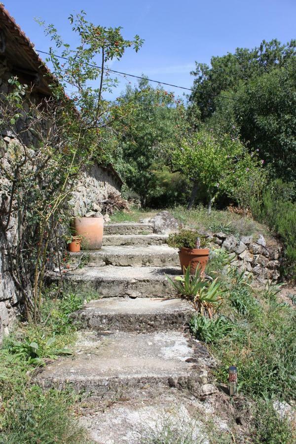 Les Gites Du Mazel Champis Exterior foto